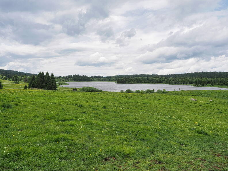 P1007366